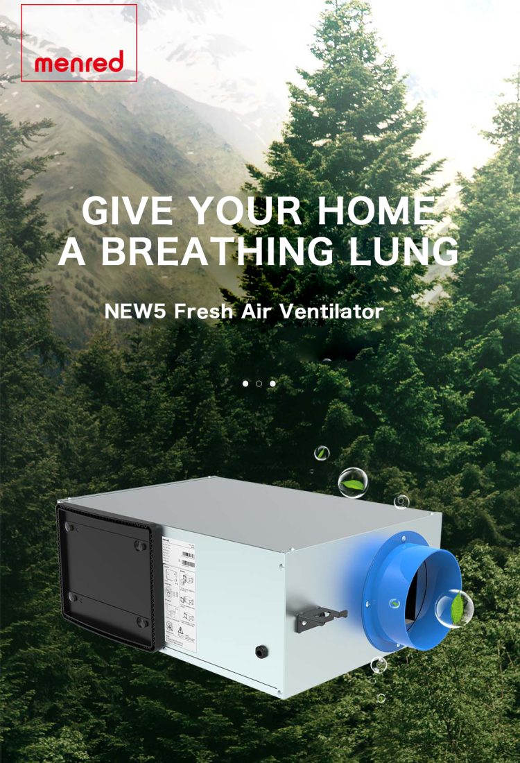 NEW5详情页